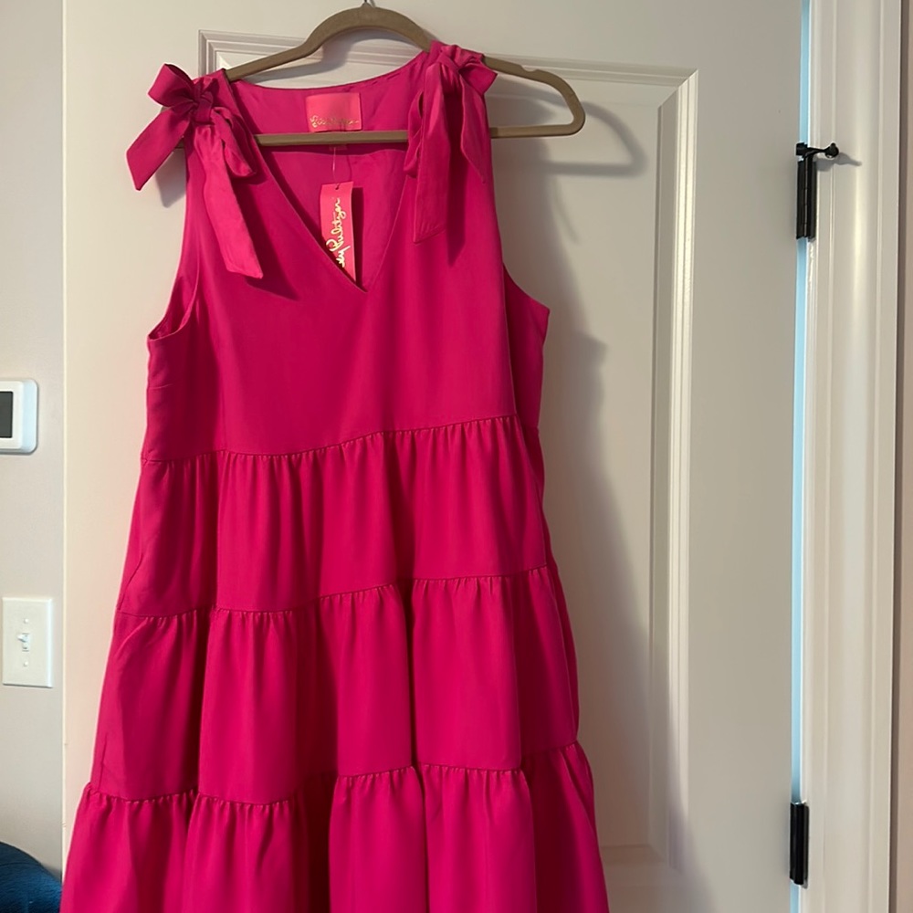 Blisslyn Dress in Açaí Berry Xl nwt